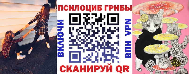 Псилоцибиновые грибы ЛСД  Каменка 